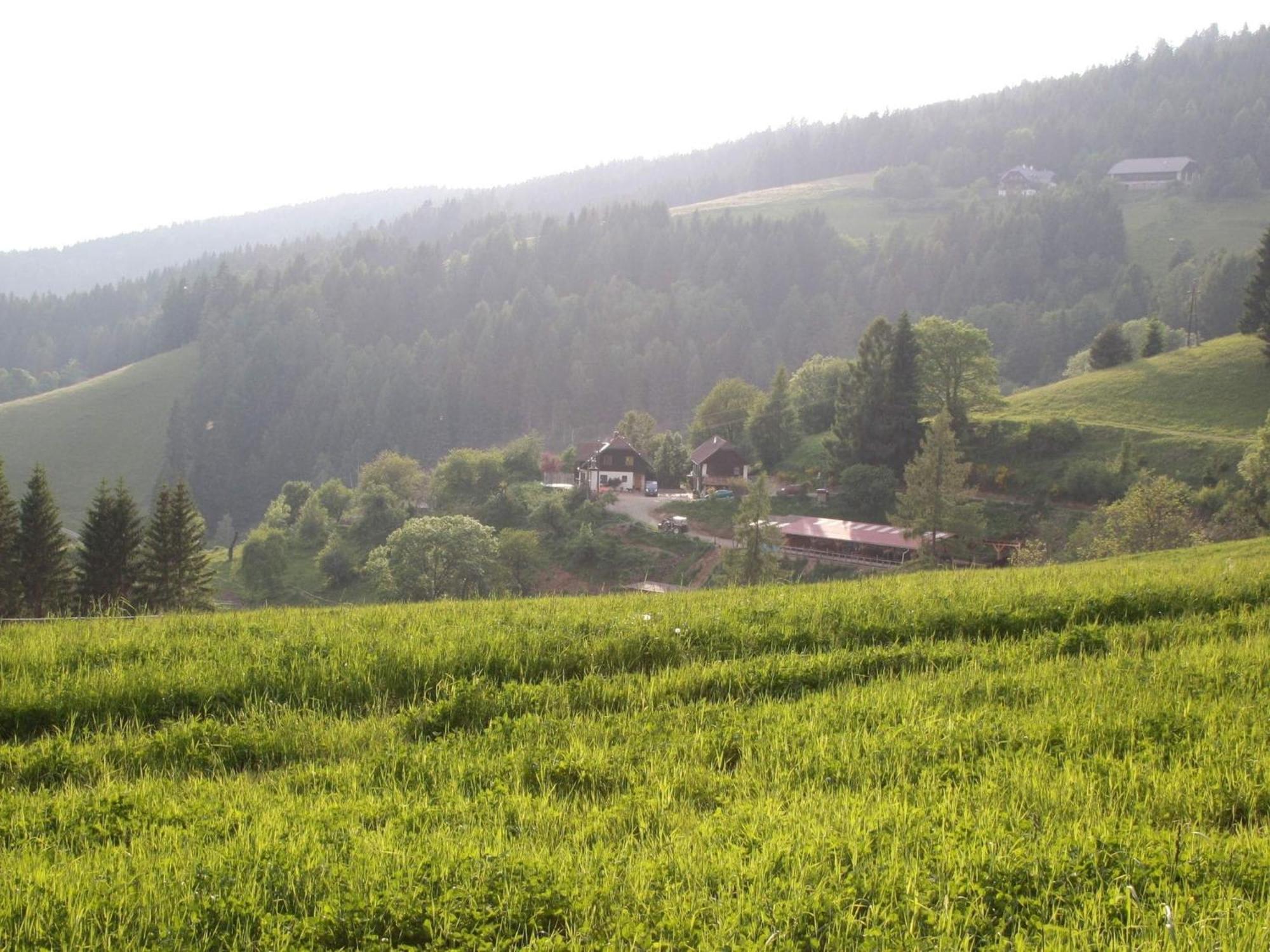 Detached Wooden Chalet In Liebenfels Carinthia Near The Simonh He Ski Area ภายนอก รูปภาพ