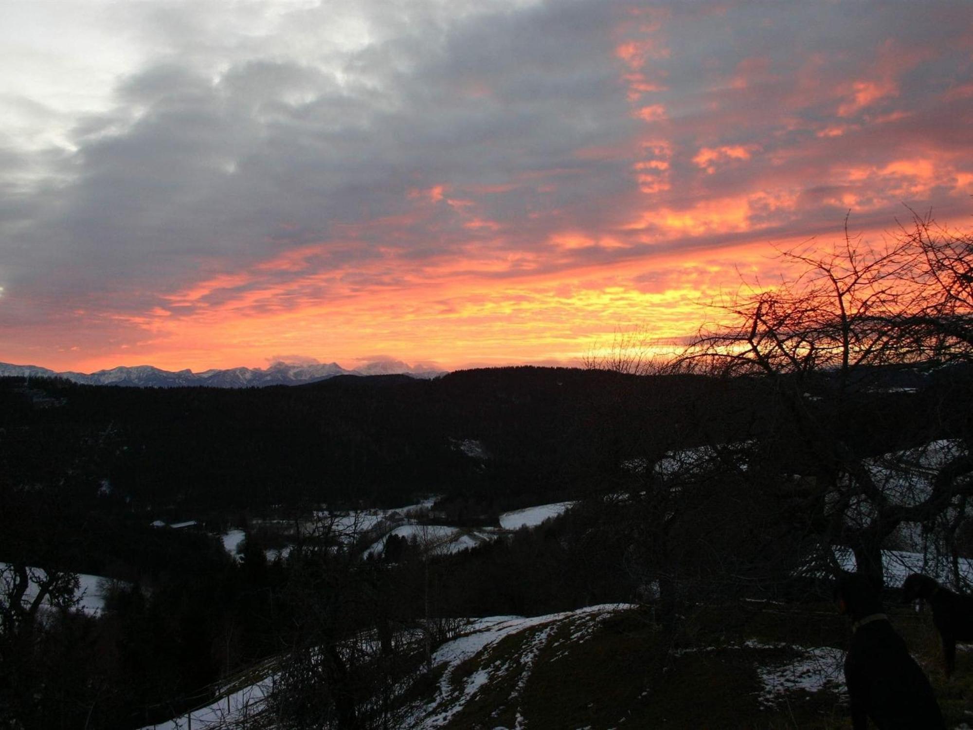 Detached Wooden Chalet In Liebenfels Carinthia Near The Simonh He Ski Area ภายนอก รูปภาพ