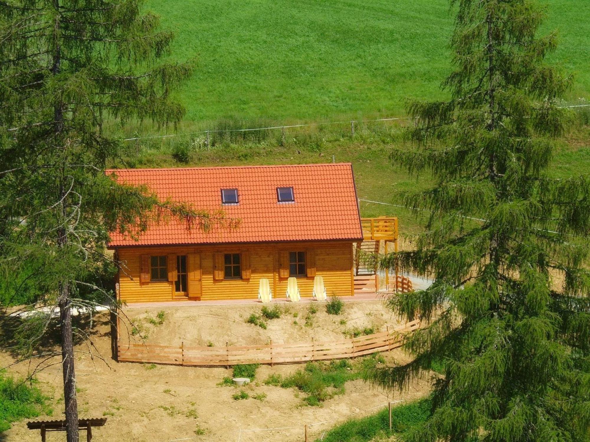 Detached Wooden Chalet In Liebenfels Carinthia Near The Simonh He Ski Area ภายนอก รูปภาพ