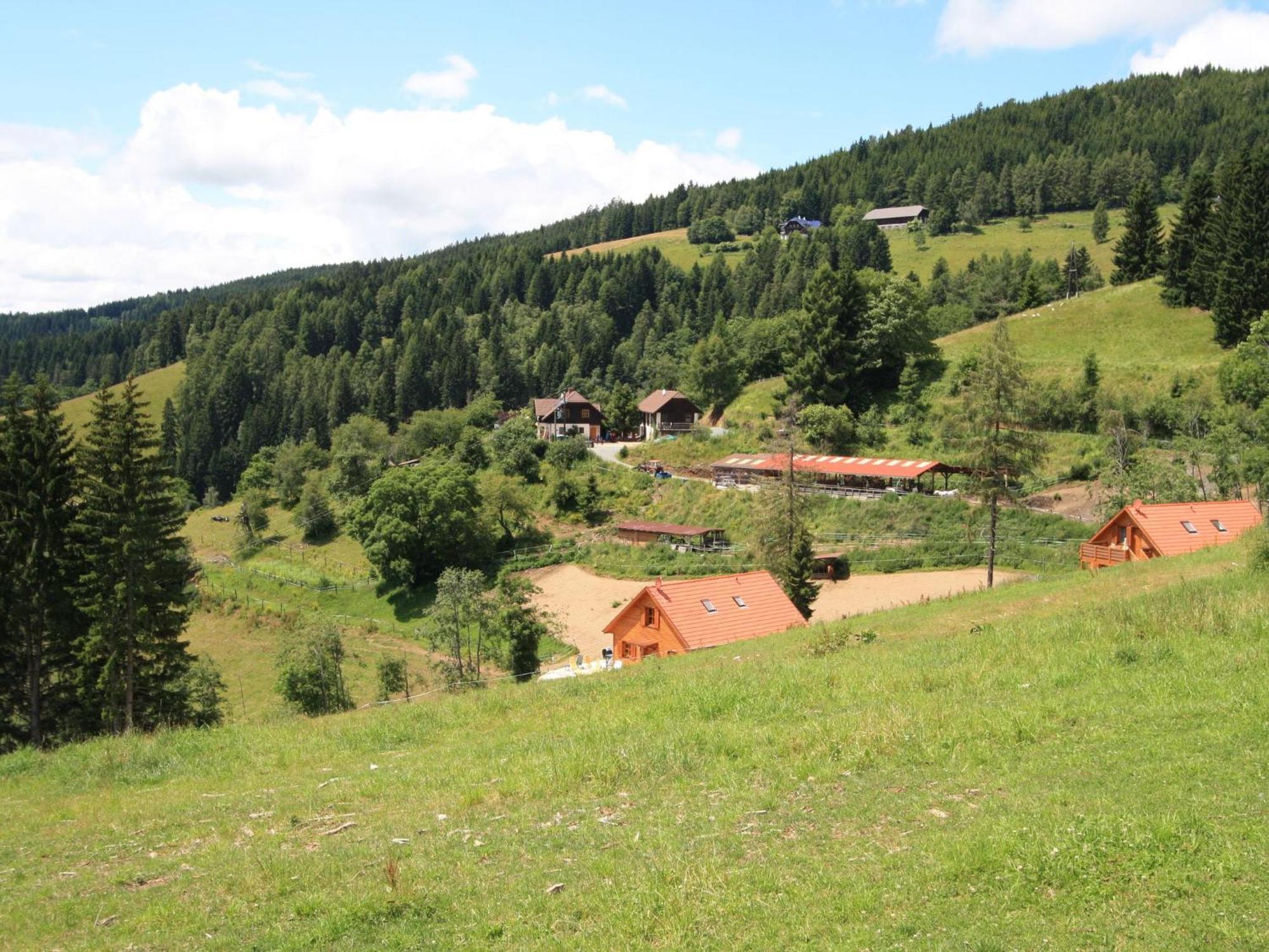 Detached Wooden Chalet In Liebenfels Carinthia Near The Simonh He Ski Area ภายนอก รูปภาพ