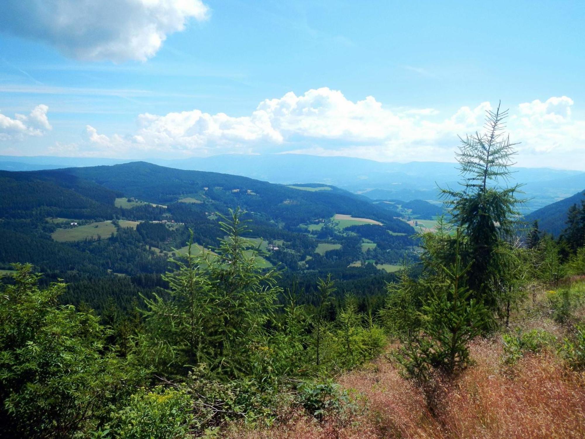 Detached Wooden Chalet In Liebenfels Carinthia Near The Simonh He Ski Area ภายนอก รูปภาพ